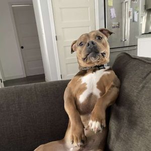 Meet your Posher, Brad